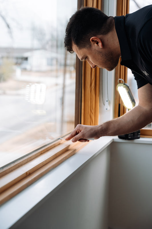 The Mold Kit for Homes