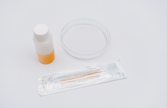 The Mold Kit Science Experiment