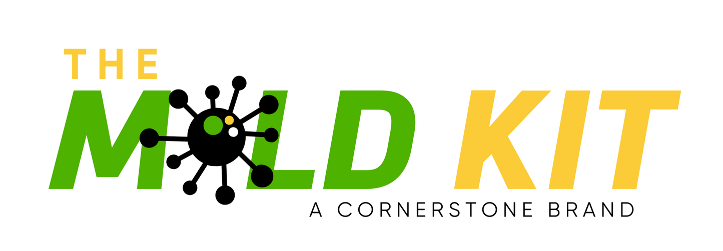 The Mold Kit for Cars